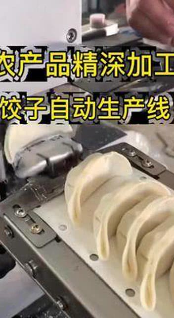 融合數(shù)字技術(shù)與精深加工 中國餃子自動(dòng)生產(chǎn)線與礦物加工的創(chuàng)新實(shí)踐
